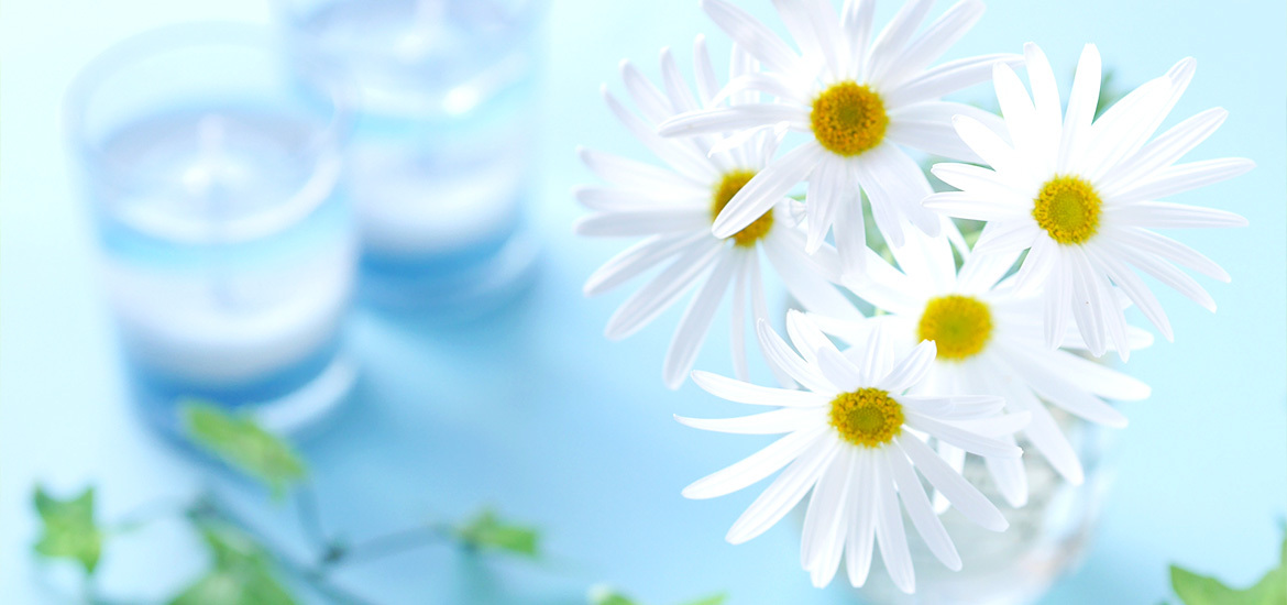 藤沢市遠藤 湘南ライフタウン停留所 調剤薬局