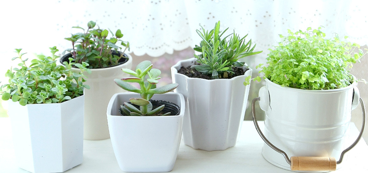 藤沢市遠藤 湘南ライフタウン停留所 調剤薬局